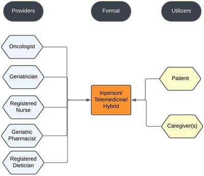 Telemedicine in geriatric oncology is here to stay